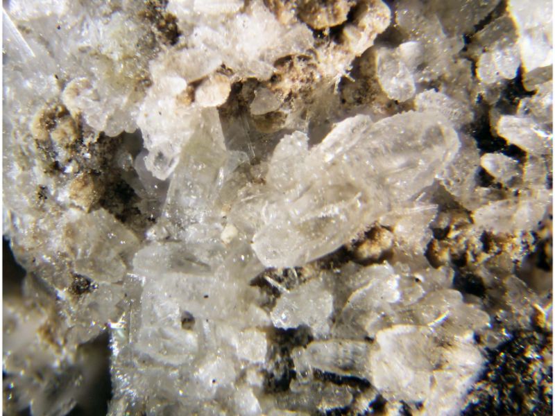 Berborite