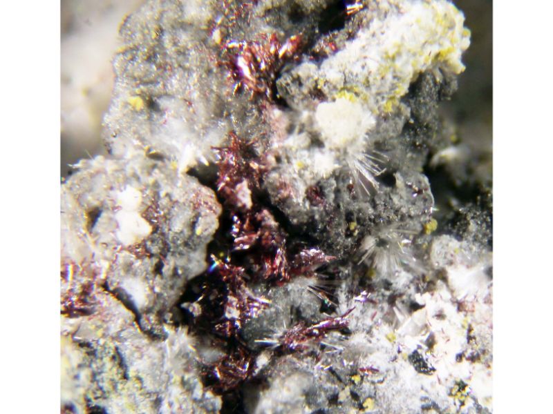 Demicheleite-(Br)