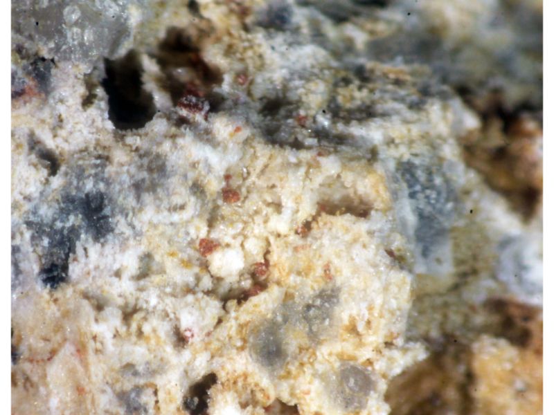 Tripuhyite