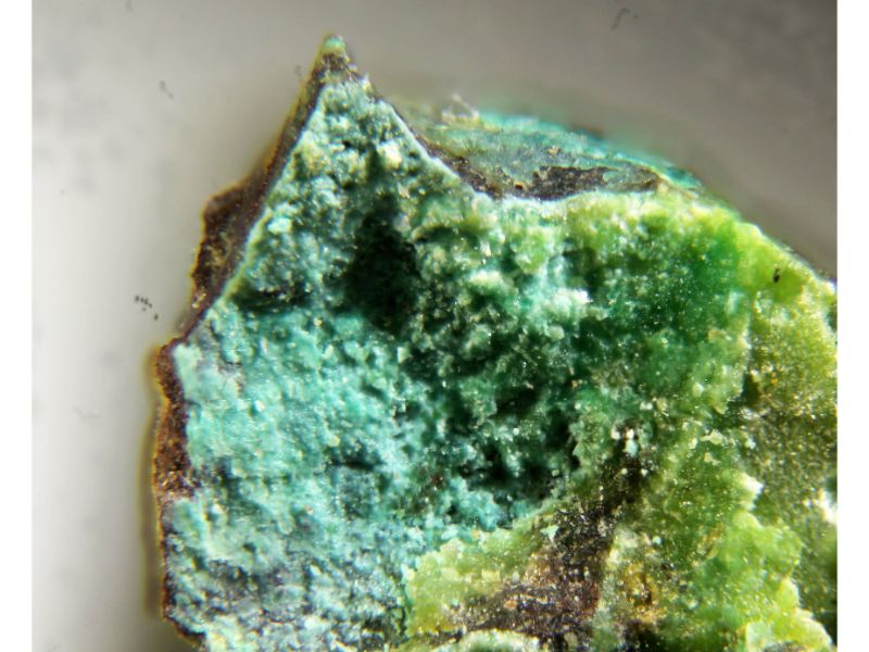 Roubaultite Astrocyanite-(Ce) & Kamotoite-(Y)