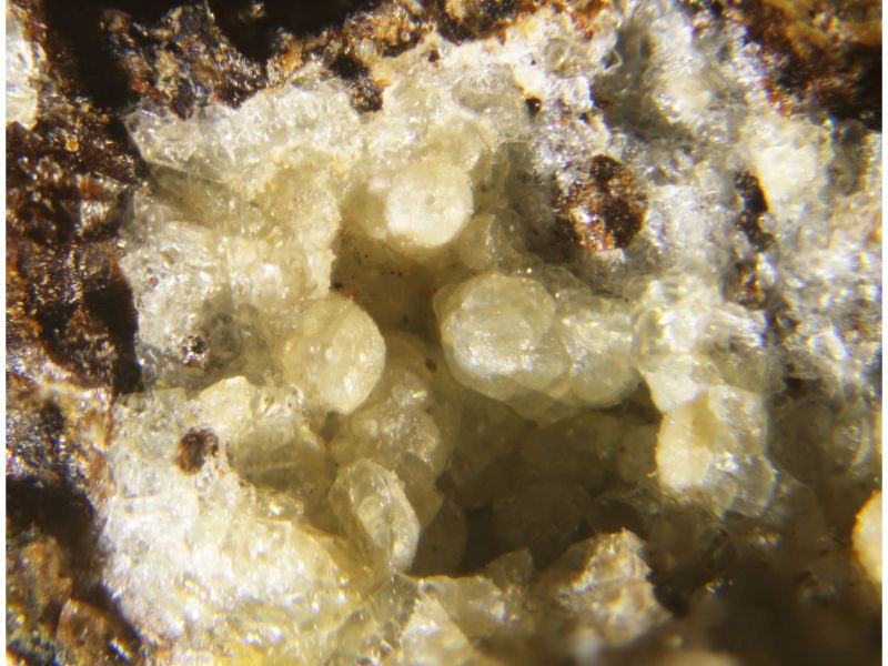 Donbassite