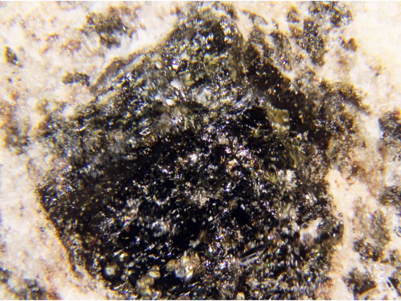 Katophorite