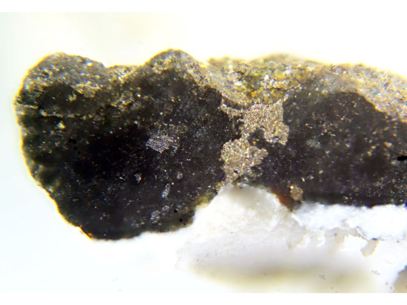 Penzhinite