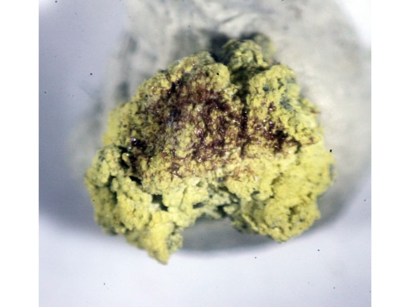 Demicheleite-(Cl) & Godovikovite