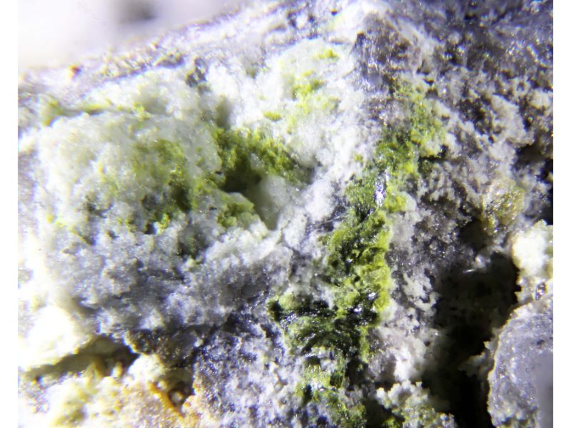 Arsendescloizite