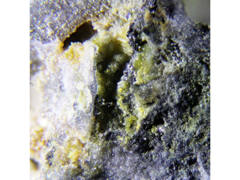 Arsendescloizite
