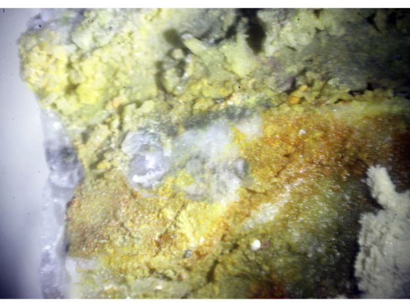 Arsendescloizite