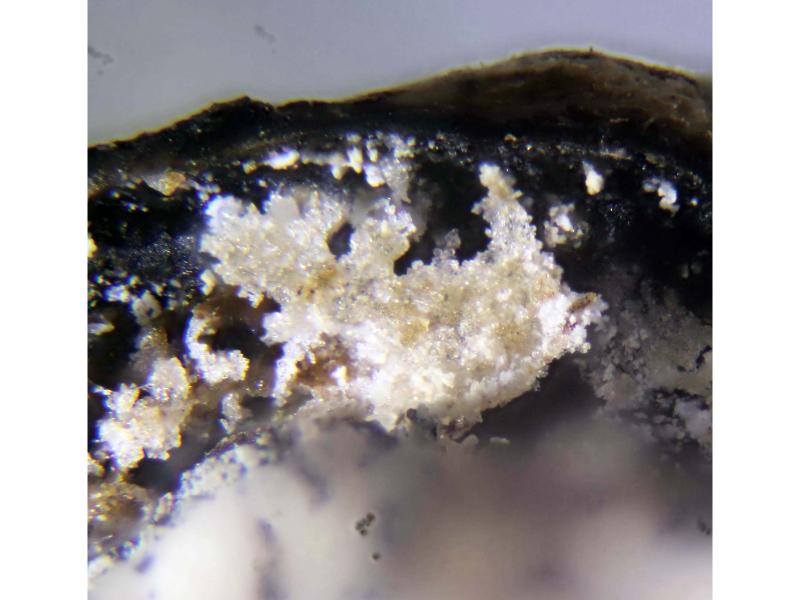 Hexahydrite & Halite