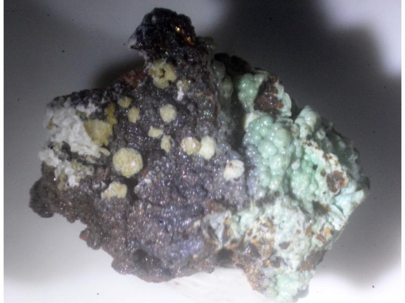 Kolovratite
