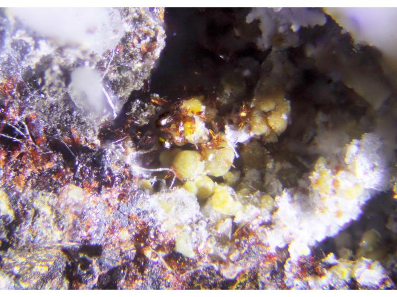 Serrabrancaite