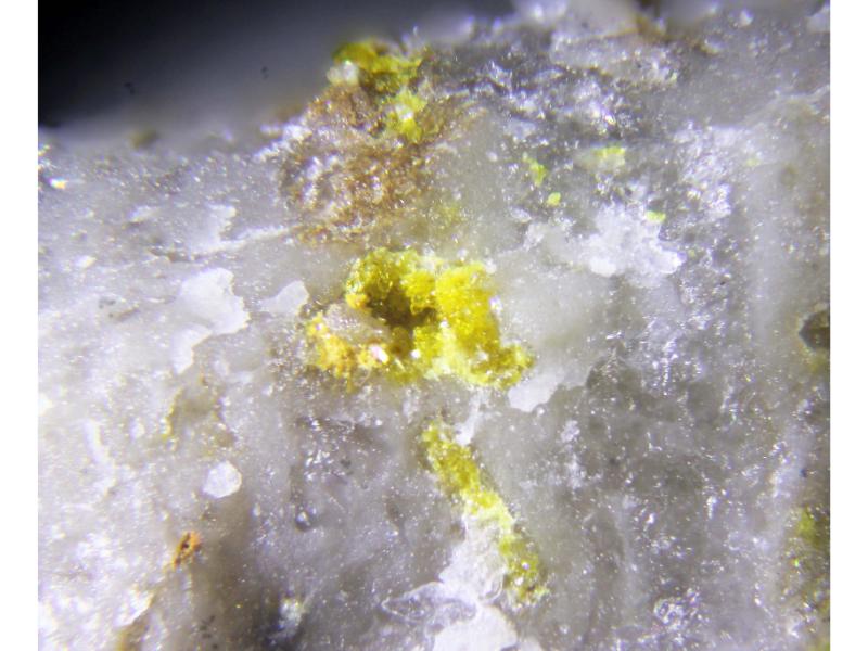 Poughite