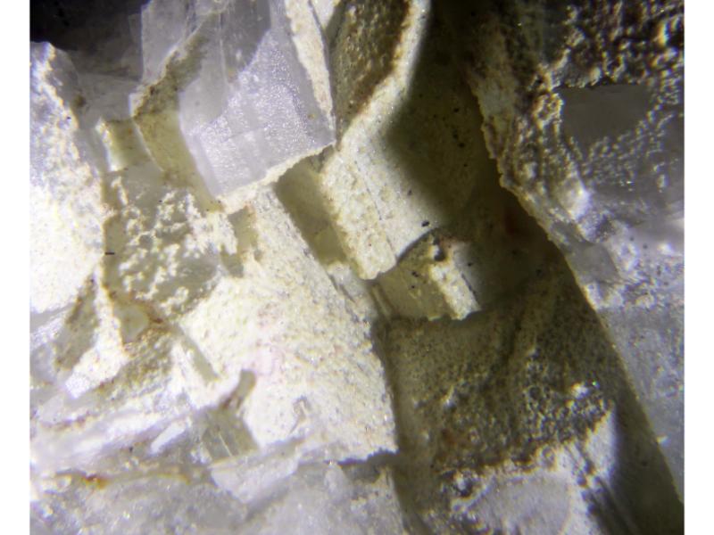 Carlosbarbosaite