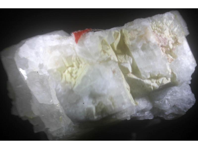 Carlosbarbosaite