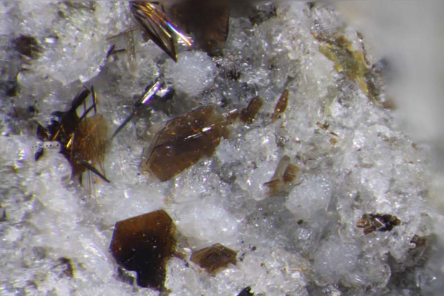 Warwickite Tridymite & Fluorophlogopite