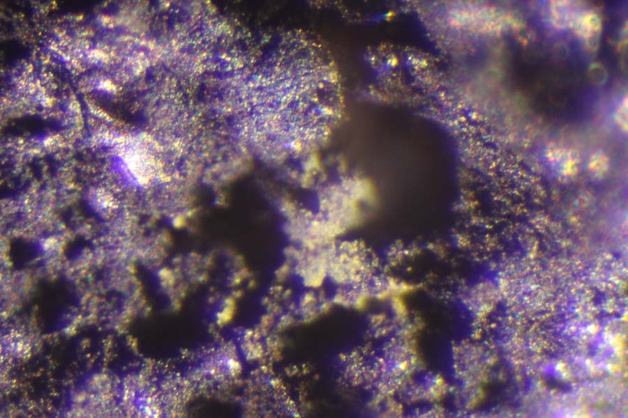 Helmutwinklerite