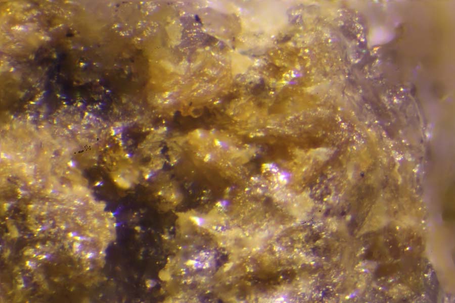 Paradamite