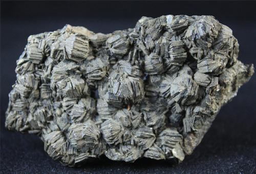 Biotite