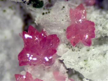 Variscite Mitridatite & Leucophosphite