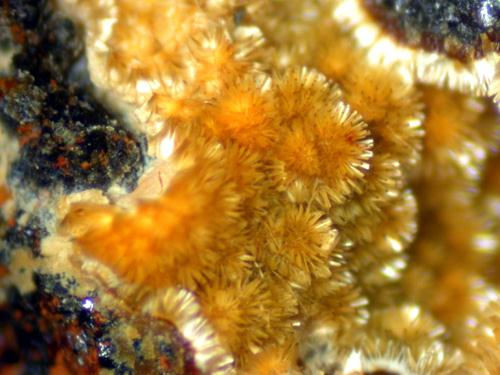 Cacoxenite & Strengite