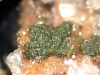 Cobaltaustinite & Talmessite