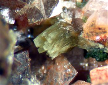 Cobaltaustinite & Talmessite