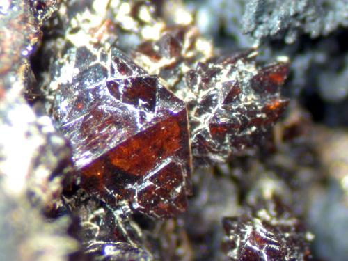 Correianevesite