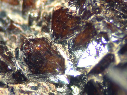 Correianevesite