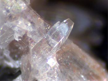 Kainosite-(Y) Muscovite & Albite