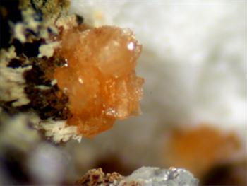 Paravauxite & Strengite