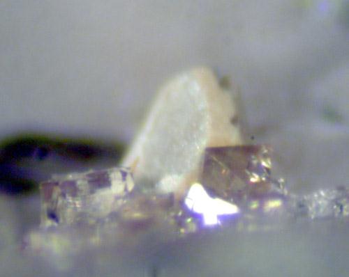 Polycrase Scheelite & Aeschynite-(Y)