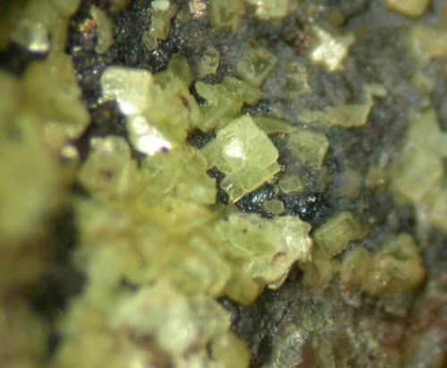 Sabugalite & Autunite