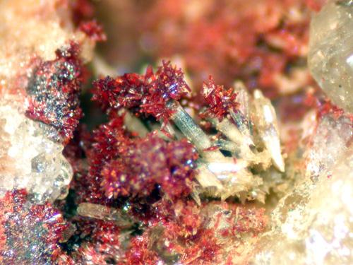 Carminite & Mimetite