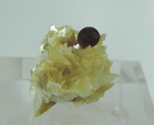 Greifensteinite & Muscovite