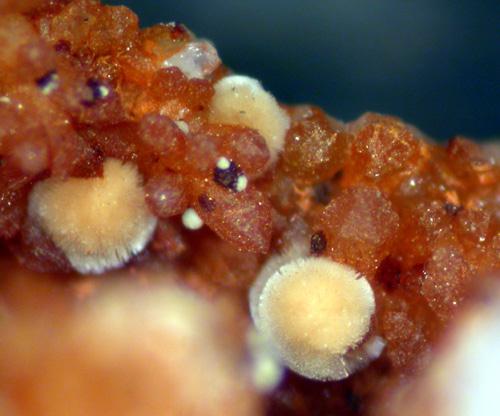 Meurigite & Lipscombite