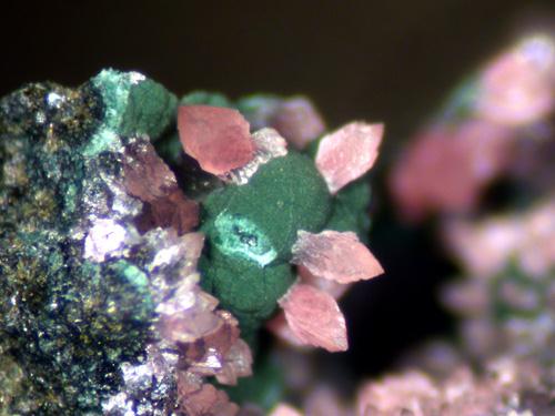 Variscite & Mitridatite