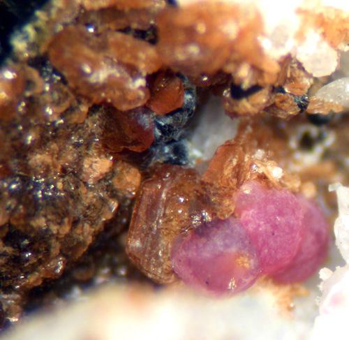Jahnsite & Strengite