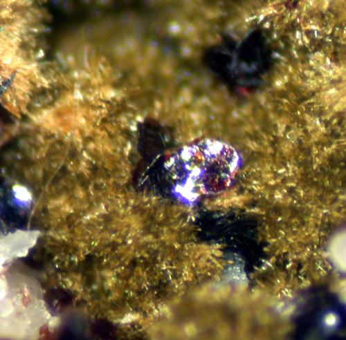 Mitridatite & Beraunite