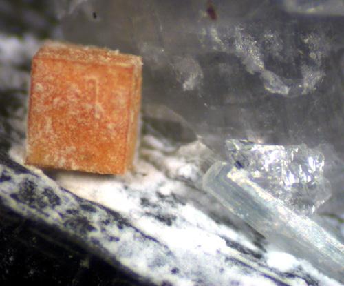 Crandallite & Amblygonite