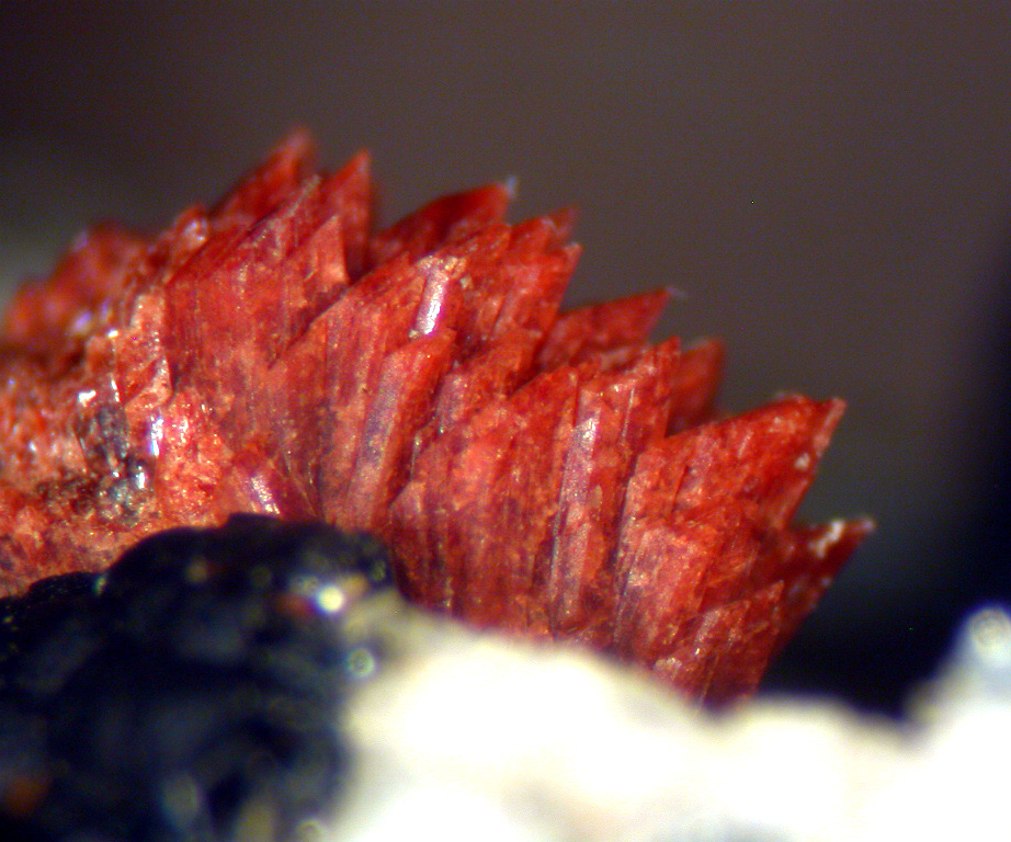 Hureaulite Barbosalite & Jahnsite