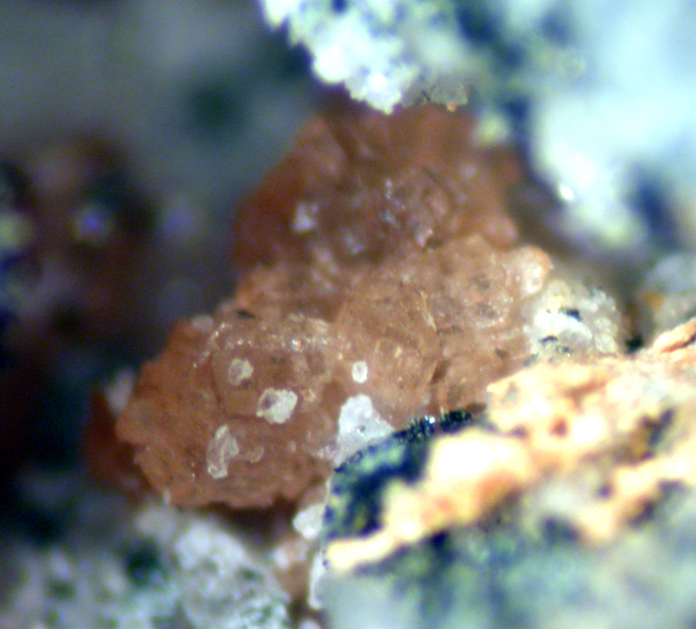 Whiteite-(MnFeMg) & Hureaulite