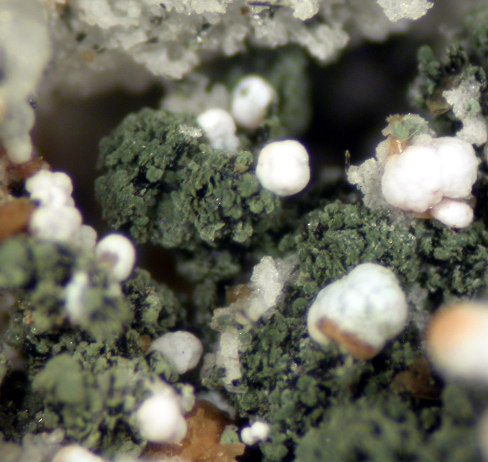 Mitridatite Rockbridgeite & Jahnsite