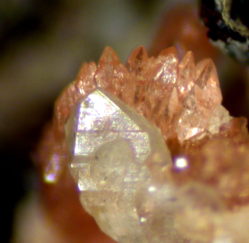 Ludlamite Correianevesite & Hureaulite