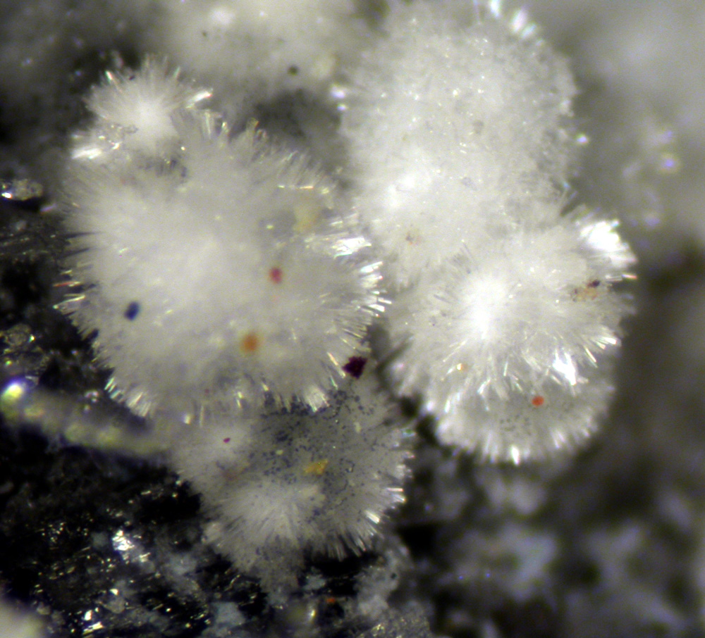 Ferrinatrite & Gypsum