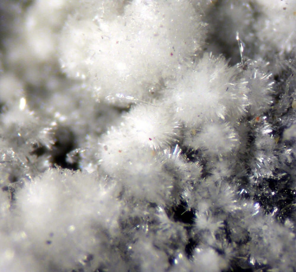 Ferrinatrite & Gypsum