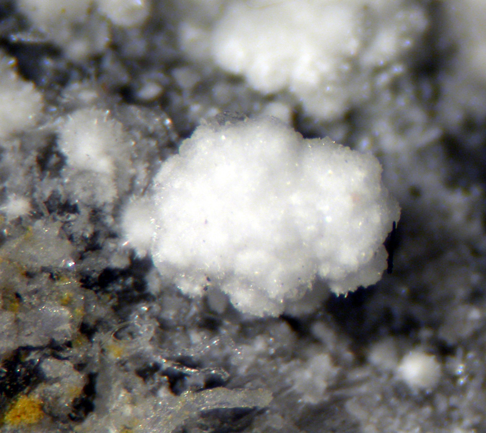 Ferrinatrite & Gypsum