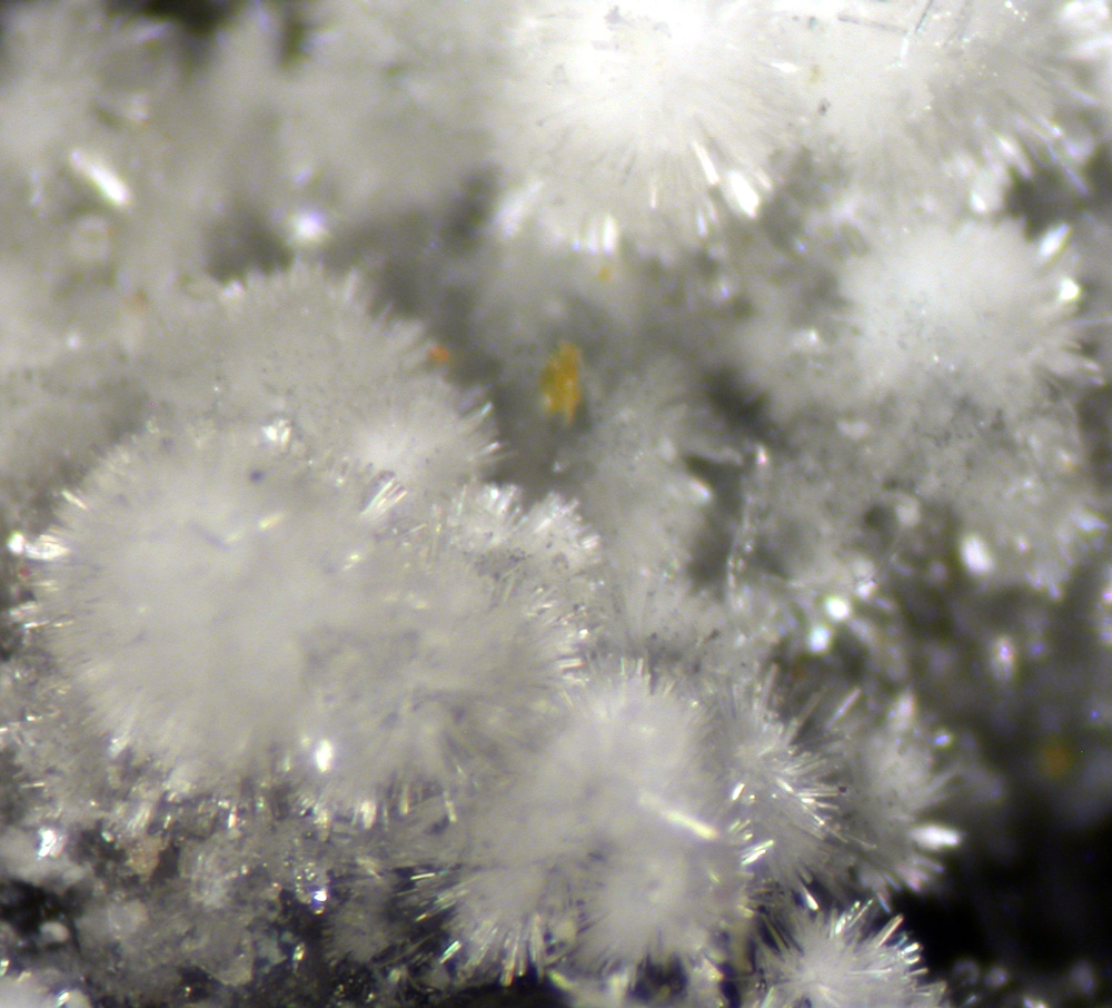 Ferrinatrite & Gypsum