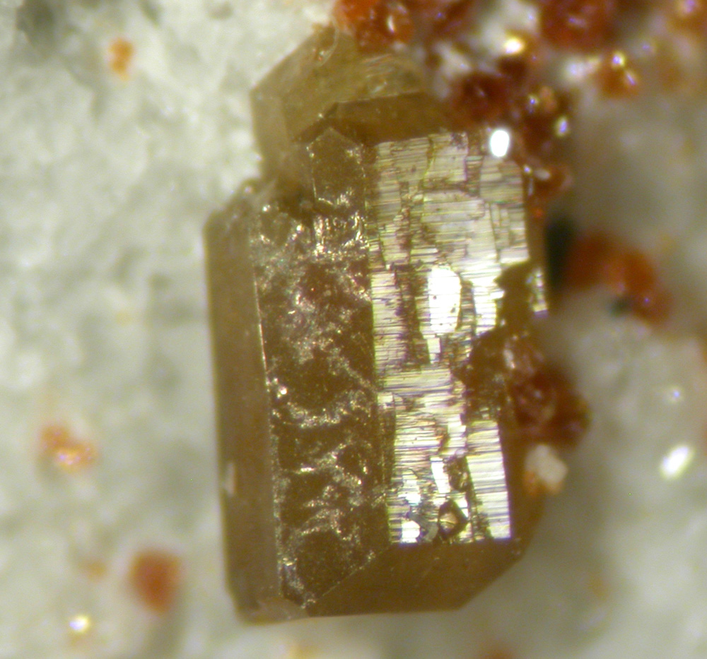 Chernovite-(Y) & Rutile