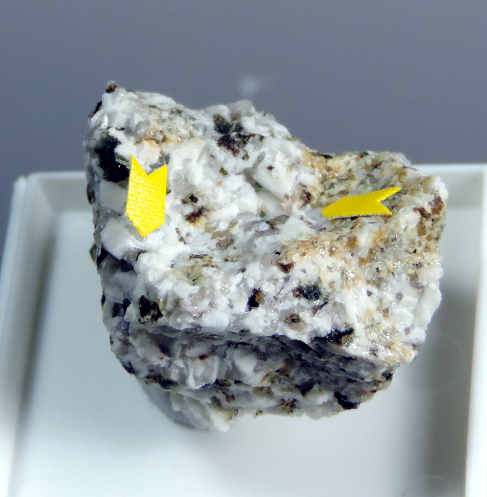 Gadolinite-(Y) Fluorite & Titanite