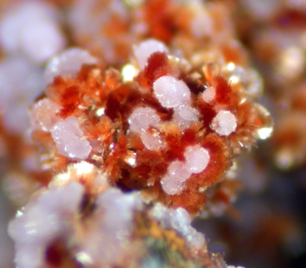 Beraunite & Strengite