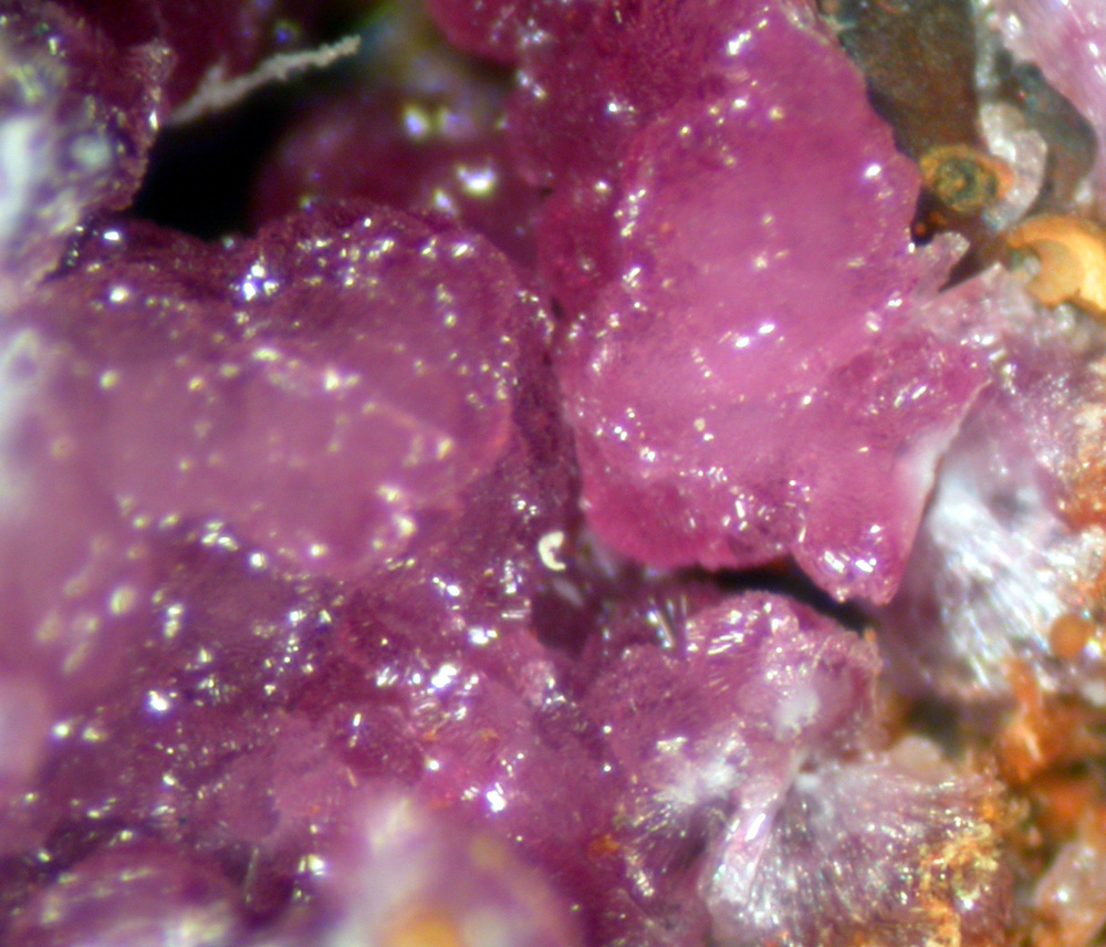 Beraunite & Strengite